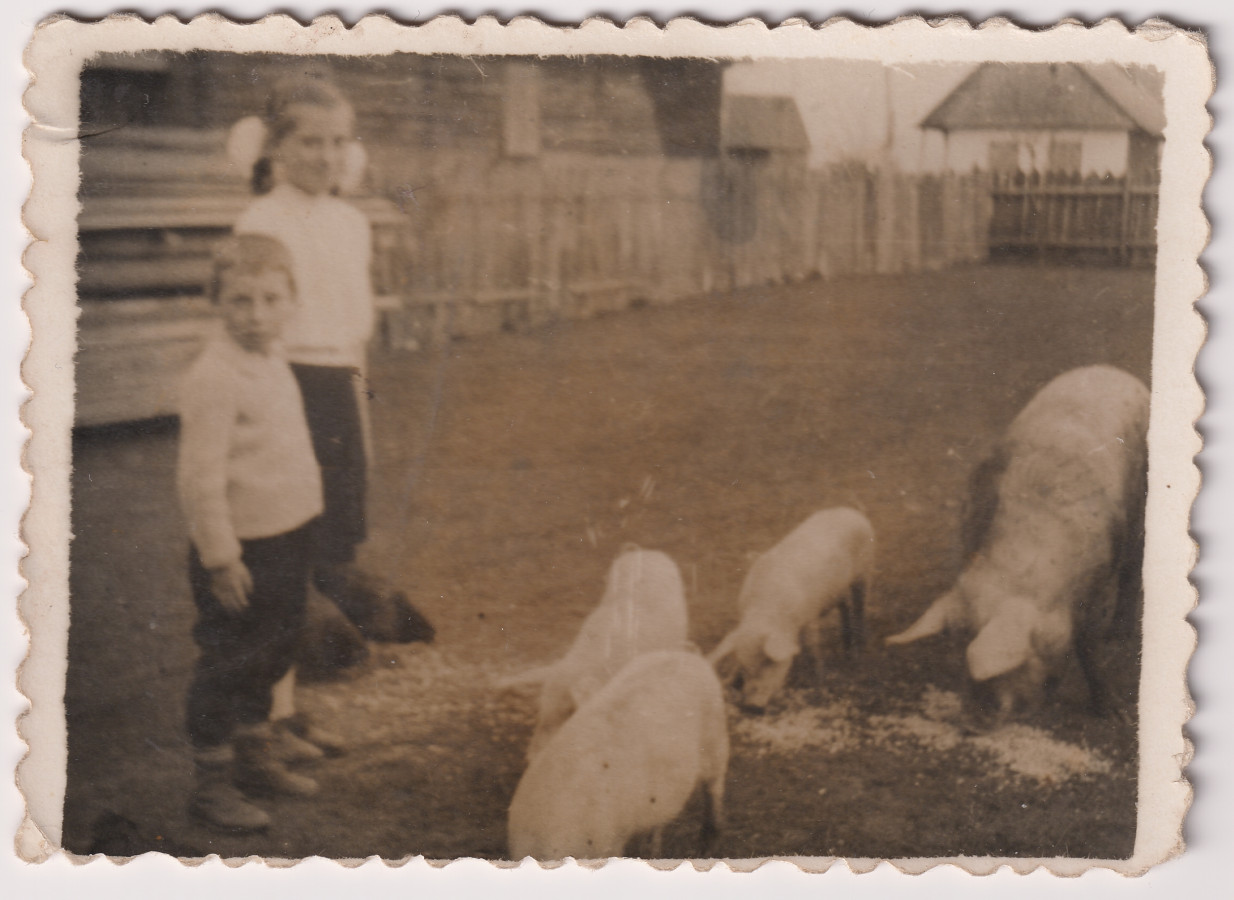 /storage/img/big_gyergyoidia_18789a-joszagot-eteto-gyermekek-magyari-b-gyujtemenye-kialto-kovek-egyesulete.jpg