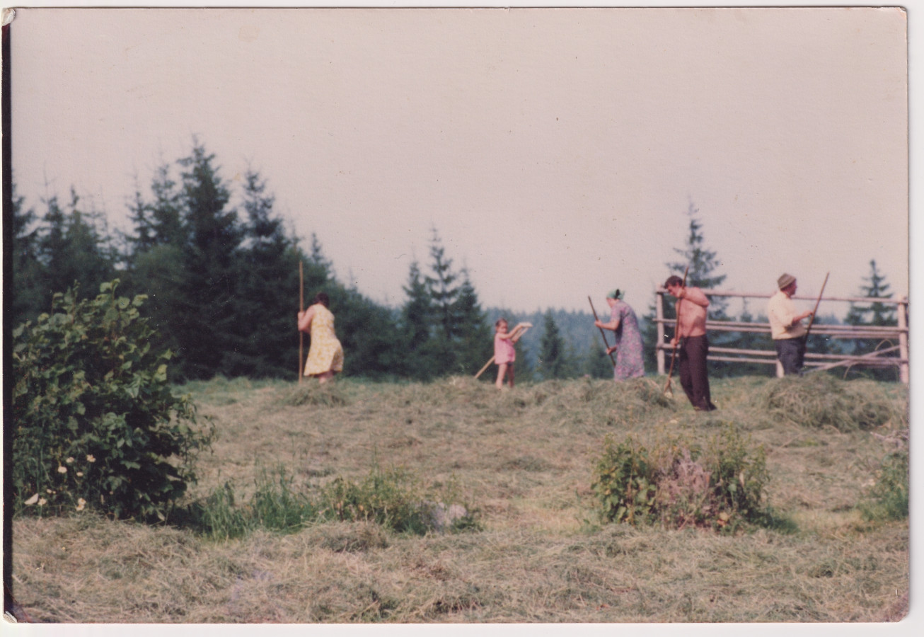 /storage/img/big_gyergyoidia_18807a-takaras-magyari-b-gyujtemenye-kialto-kovek-egyesulete.jpg