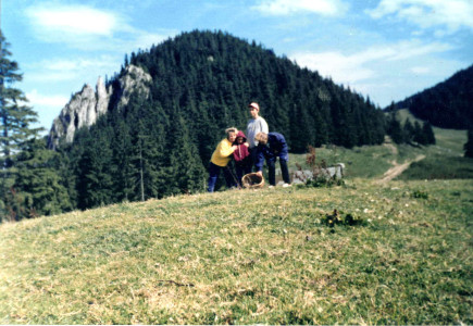 Gombászás Lóhavas-sarkánál