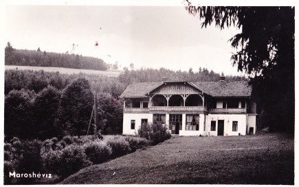 Dezső villa, 1.