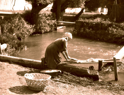 Sulykolás a patakban - Vákár Tibor felvétele