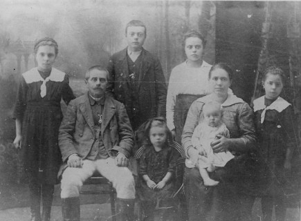 Familia lui Kémenes Miklós