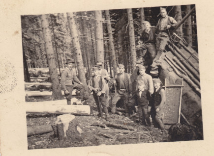 Újfalvi fakitermelő munkások